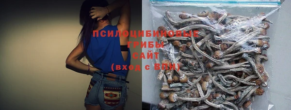 трава Абаза