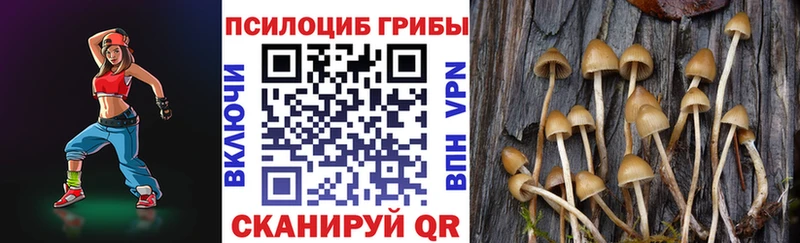 закладка  MEGA зеркало  Галлюциногенные грибы мухоморы  Красавино 